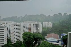Blk 24 Mount Faber View (Bukit Merah), HDB 4 Rooms #446978001